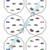 2. VEO MATCH_DISCRIMINAZIONE VISIVA_MACCHINE VEO MATCH - PACCHETTO COMPLETO