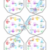 3. VEO MATCH_CHIUSURA VISIVA_PAROLE.pdf VEO MATCH - PACCHETTO COMPLETO