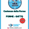 VEO MATCH - COSTANZA FORMA - GATTO
